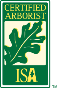 ISA
