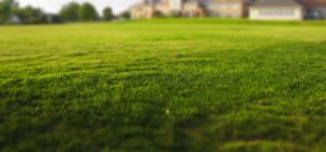 Mowing